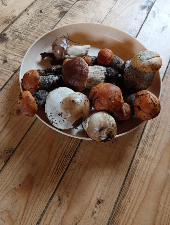 Апартамент с видом на озеро