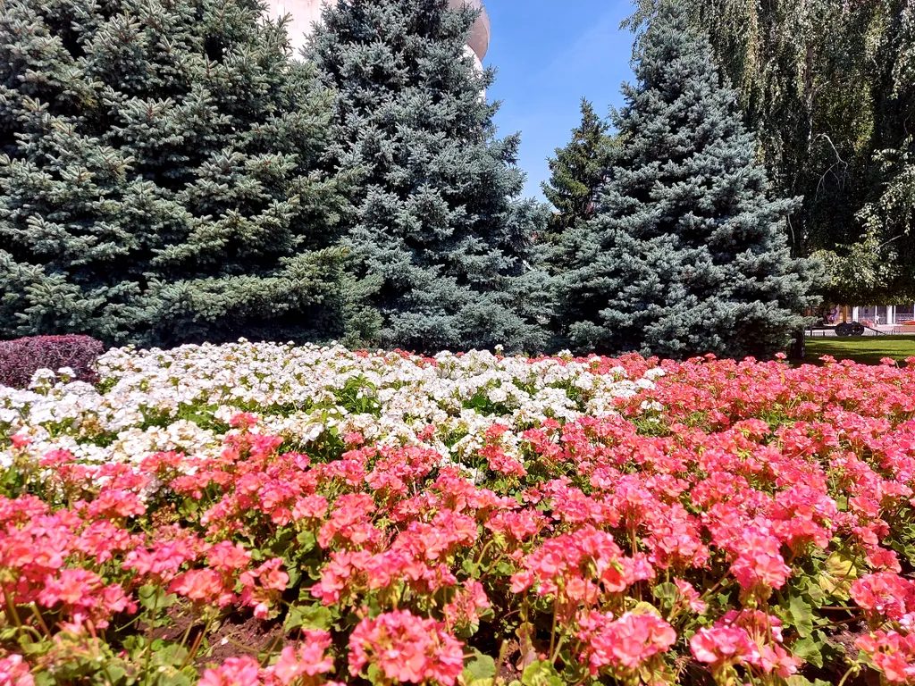 Квартира Уютная квартира у парк хауса — Волгоград