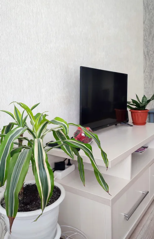 Уютная квартира от собственника рядом с достопримечательностями