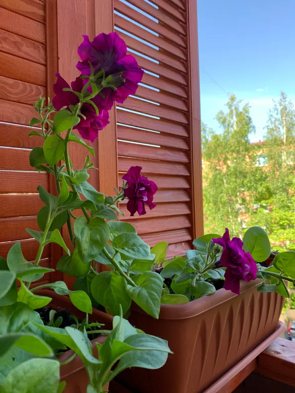 Уютная квартира в Южном микрорайоне