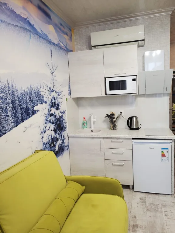 Студия берёзовая