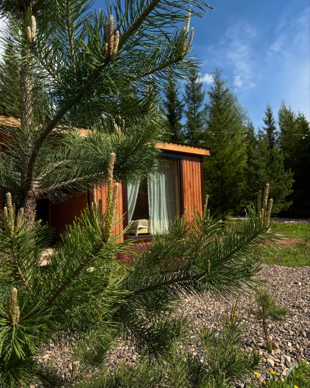 Дом Притяжение для семейного отдыха в с.Гольяны