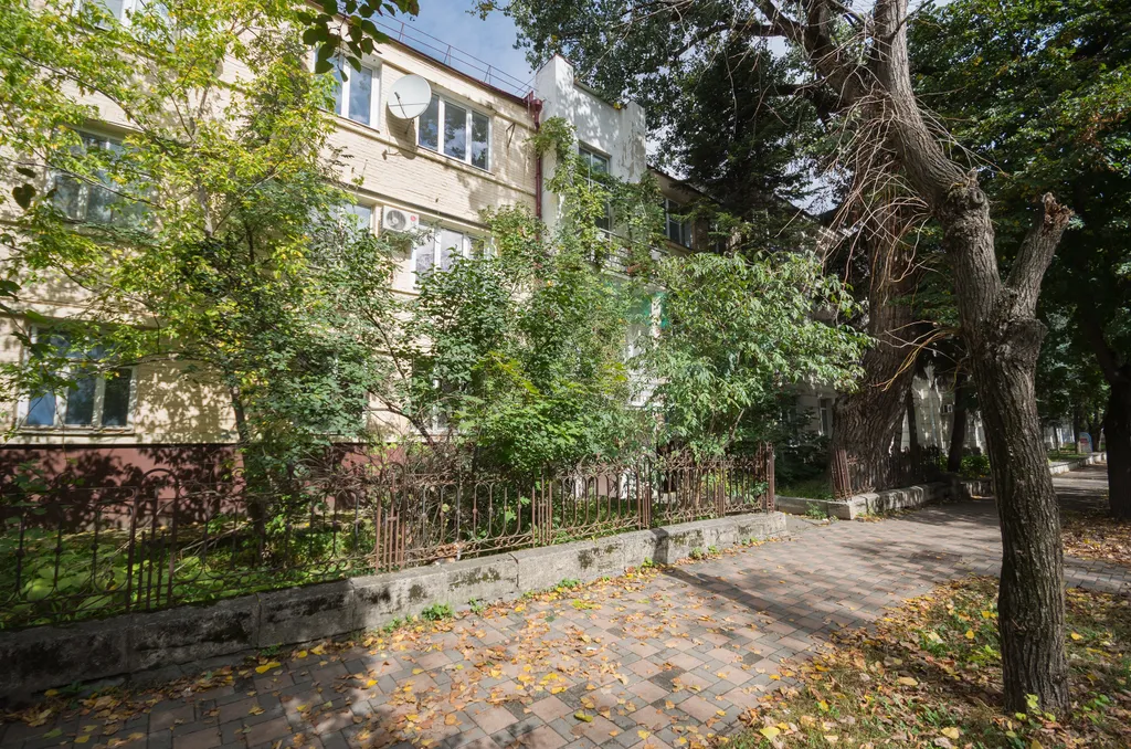 Каштановая аллея