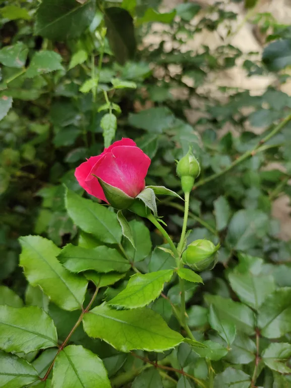 Зимовка на берегу моря в уютных апартаментах Лазурный Элит