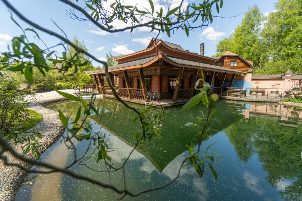 Коттедж Дом на пруду с дровяной сауной и караоке в китайском стиле — Высоково
