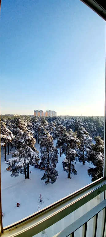 Апартаменты в сосновой роще