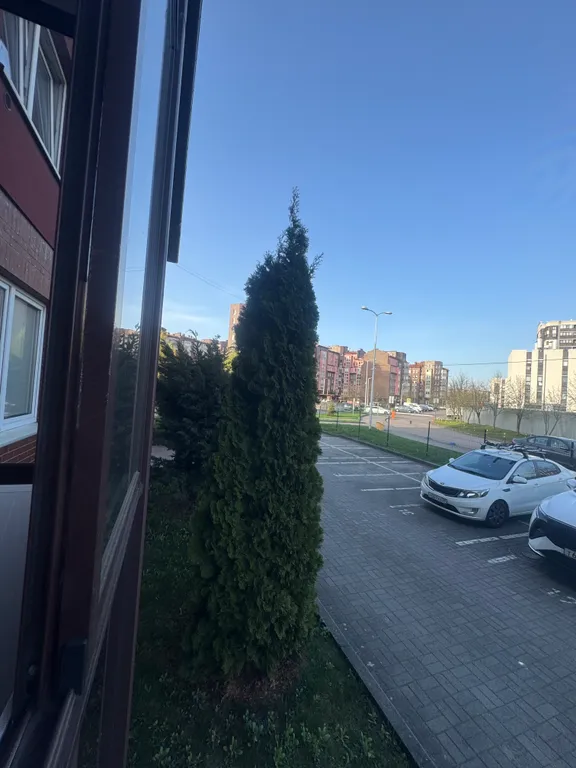 Квартира Просторные апартаменты — Калининград