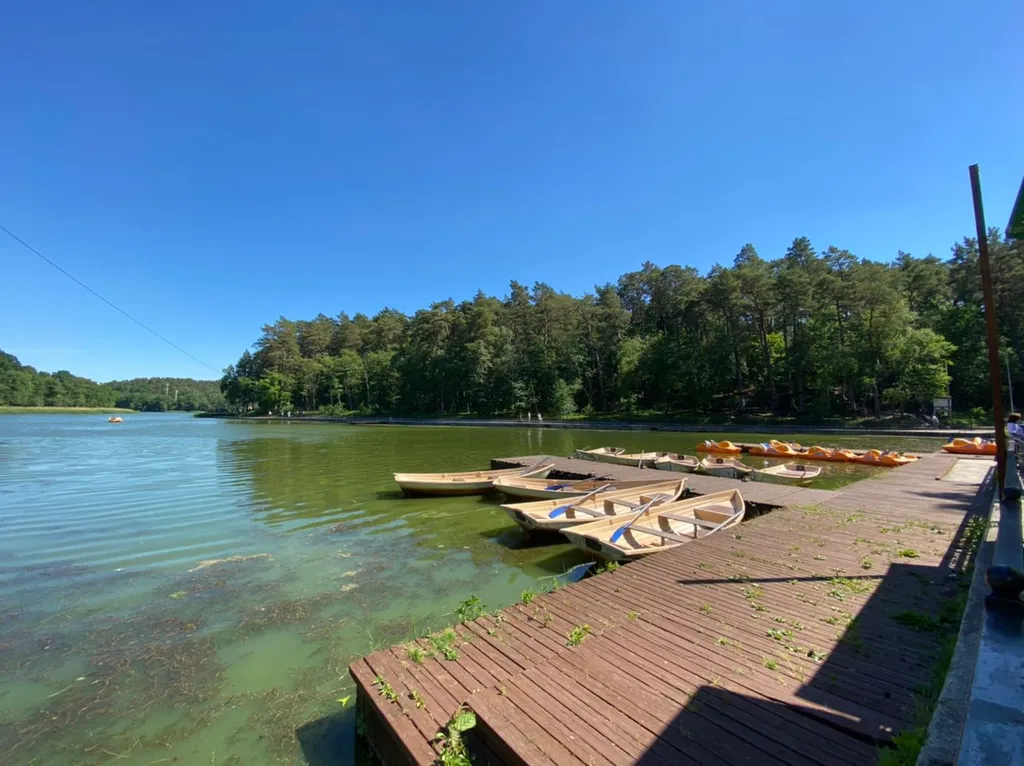 Квартира Уютная квартира в центре города — Светлогорск