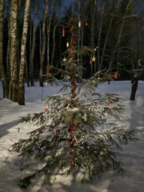 Уютный домик в лесу у пруда