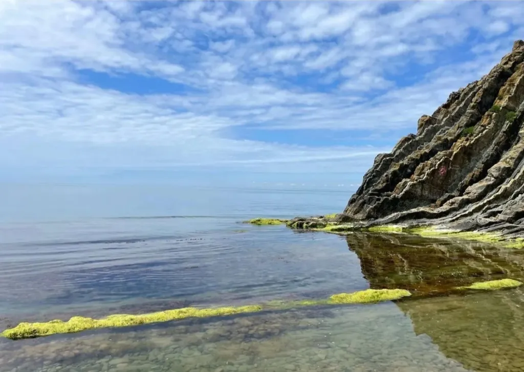 Просторная уютная 2-комнатная квартира с ремонтом в спальном районе