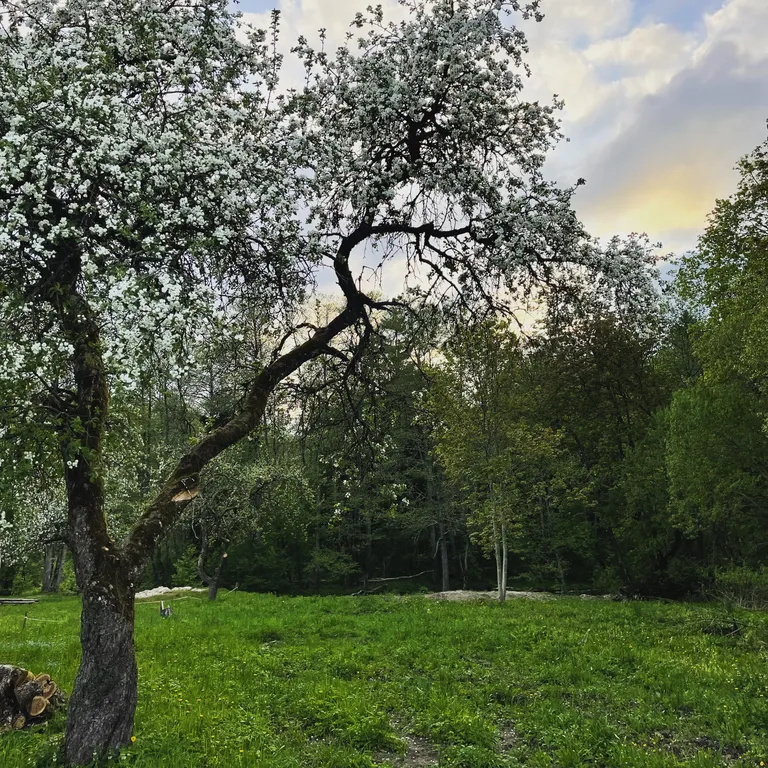 Концепт-усадьба возле голубых озер Речная пристань