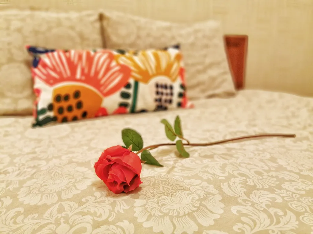 Квартира Квартира Уютный и просторный апартамент Апарт-Комфорт в центре — Ярославль