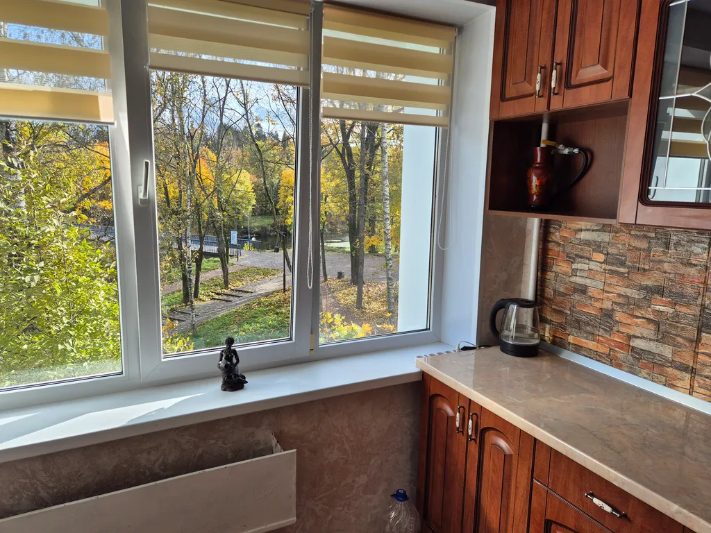 Квартира Квартира на берегу реки Луга — Луга