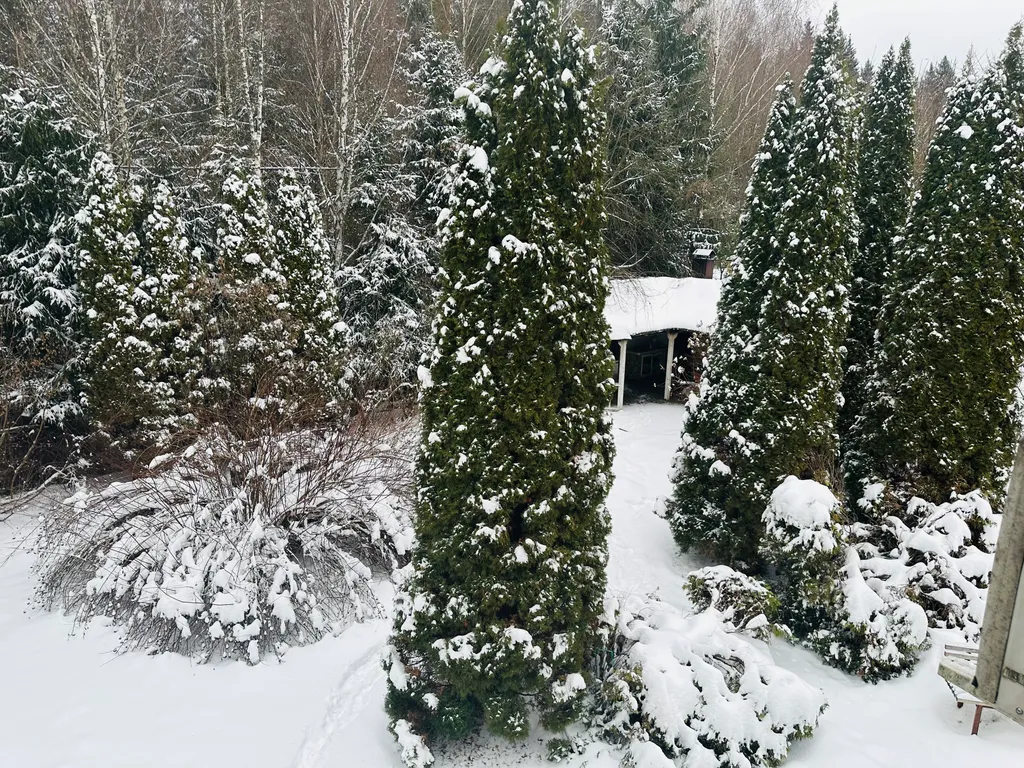 Дом с бассейном у леса