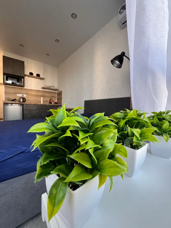 Квартира с ремонтом — аренда посуточно в Пенза