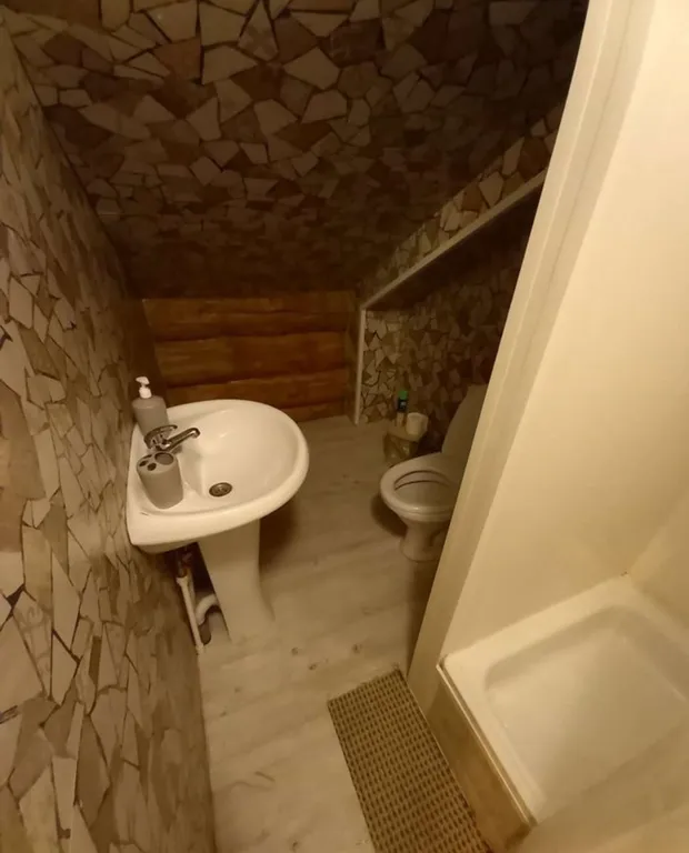 Дом из круглого дерева возле горы