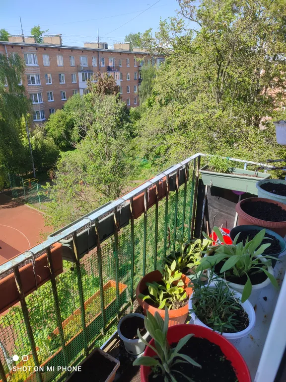 Квартира в центре города