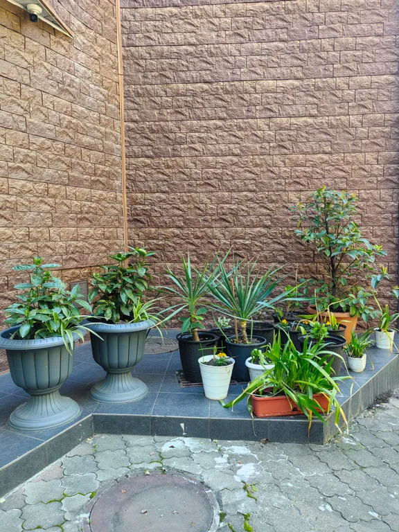 1-комнатная Квартира — аренда посуточно в Сочи