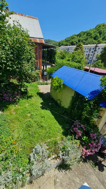 Комната Голубая на черном море с выходом в Карликовую рощу