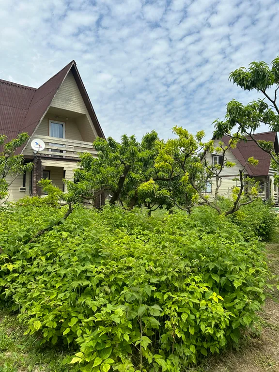 Эко Шале Лимон