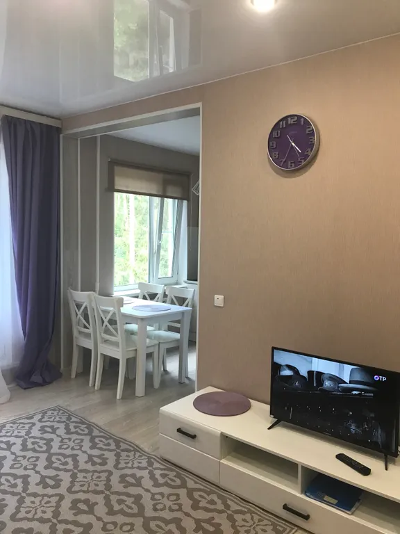 Квартира-студия с красивым видом на сосны