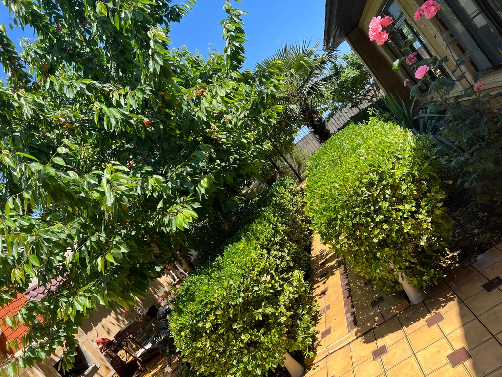 Уютный дом-дача на берегу Каспийского моря