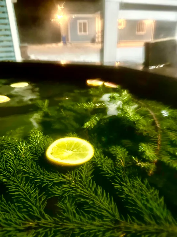 Дом с баней и банным чаном