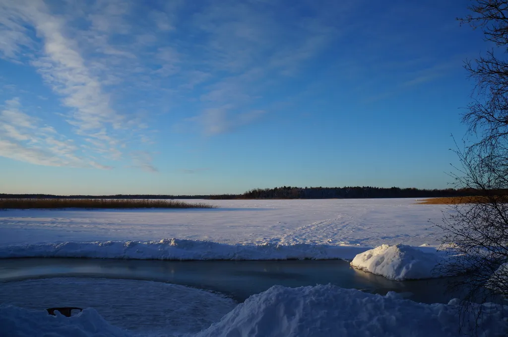 Коттедж Уютный коттедж на берегу Судаковского озера — Ларионово