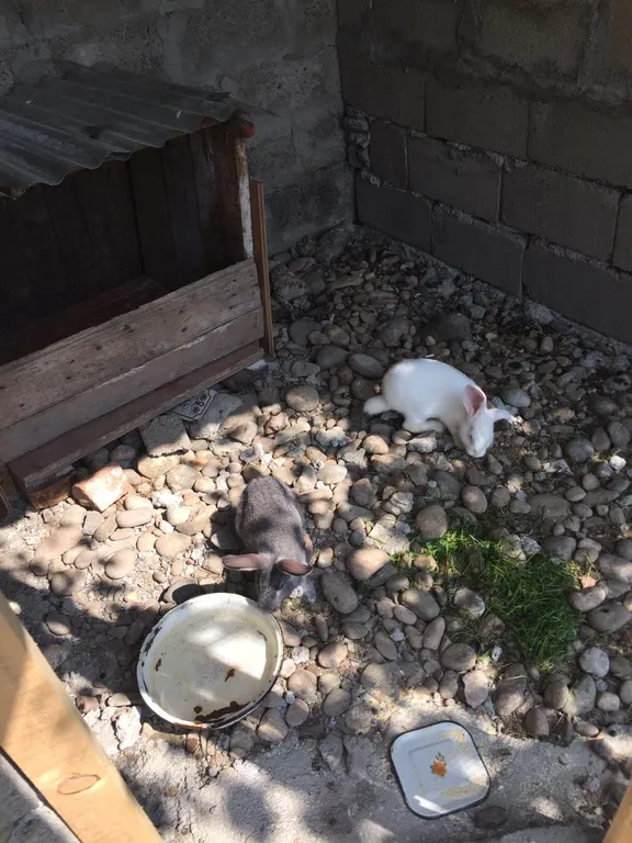 Уютная комната в гостевом доме