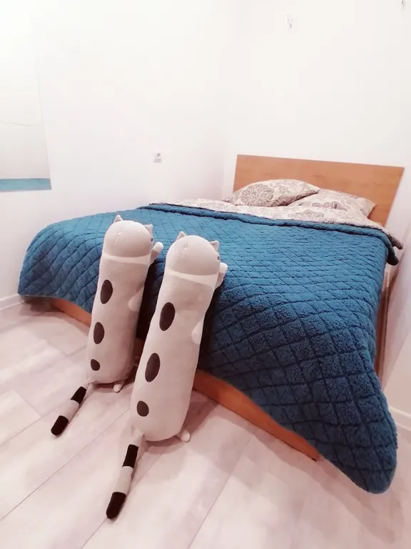 Квартира Уютная чистая студия со свежим ремонтом — аренда посуточно в Горно-Алтайск