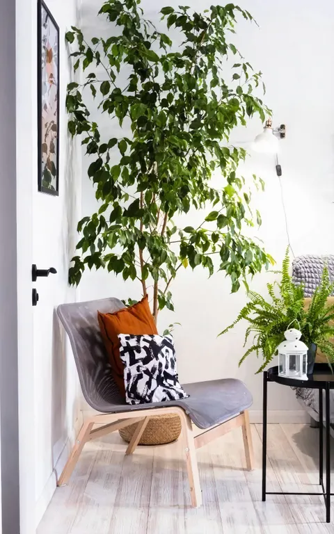 Квартира Квартира Апартамент Boho Style в самом центре Сочи — Сочи