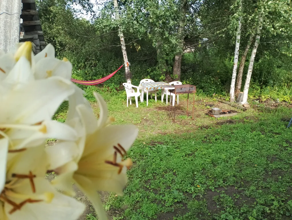 Домик на Селигере