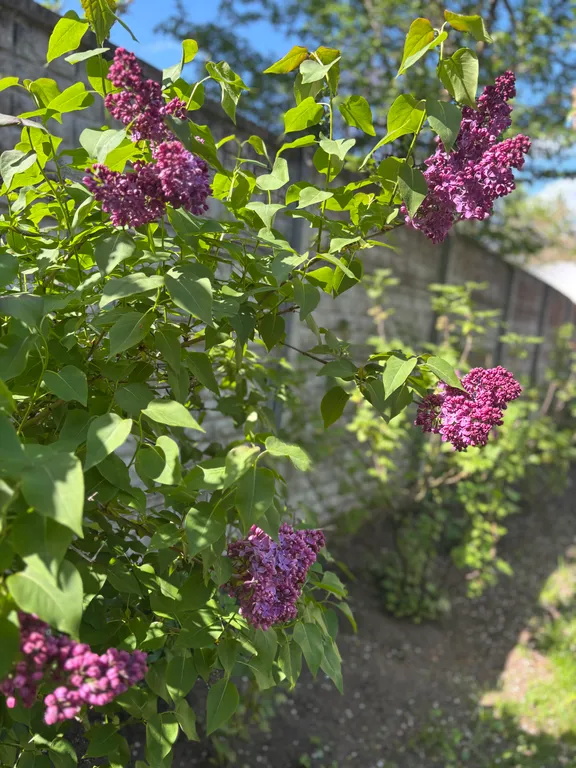 Уютный дом с русской банькой