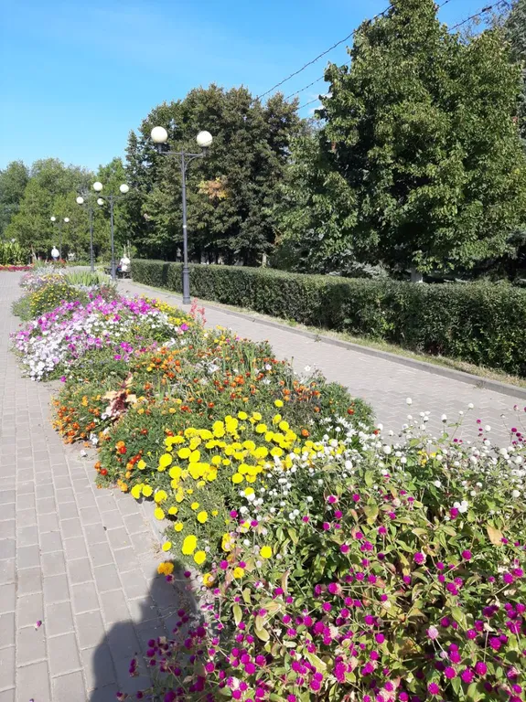 1-комнатная Квартира с видом на Волгу. 32 м², 7/9 эт.