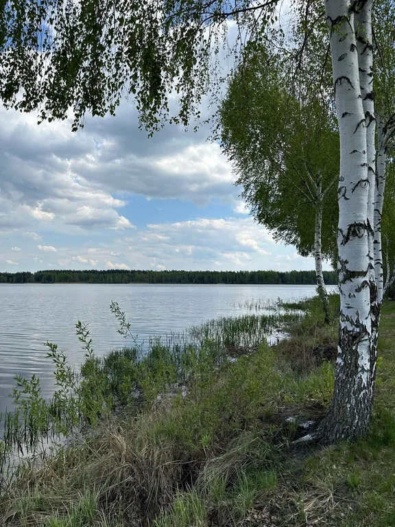 Дом у Белого озера