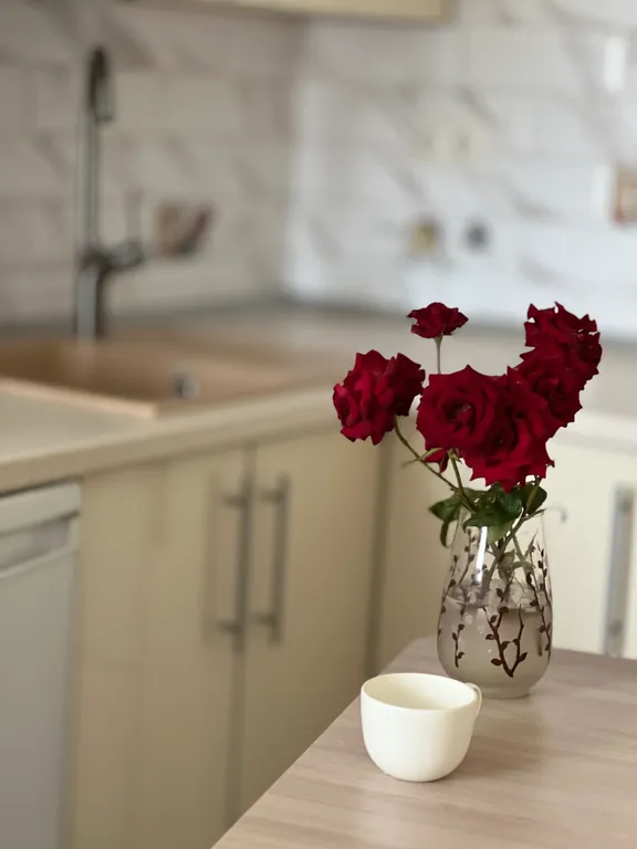 Уютная студия