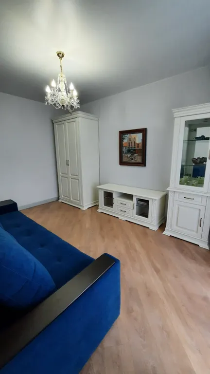 Янтарная чайка