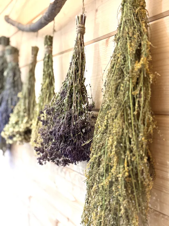 Коттедж Дом с камином, где можно приготовить пиццу в печи. Красное Село — Красное Село