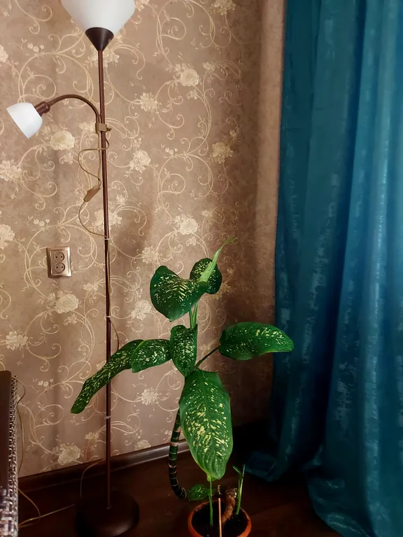 Уютная квартира вблизи от трассы М8