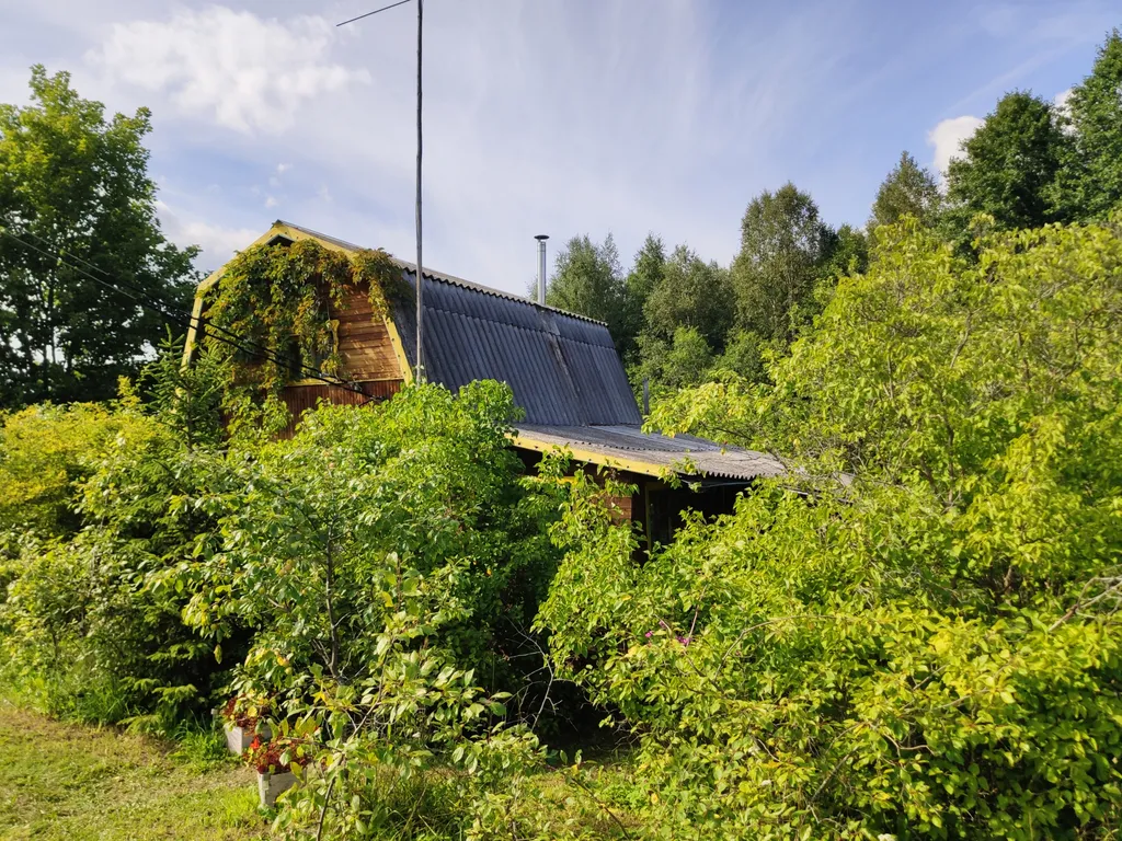 Дом в окружении леса, озёр и рек, около турбазы Алоль