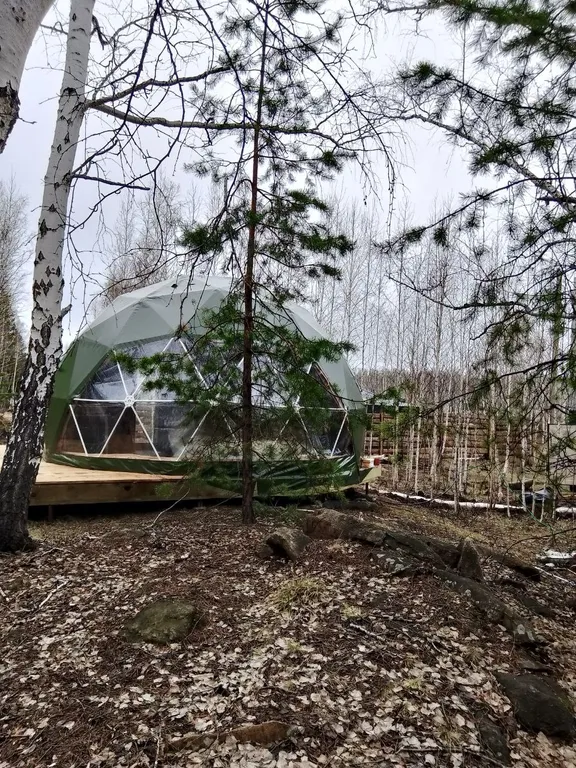 Гео купол в лесу на берегу озера Увильды