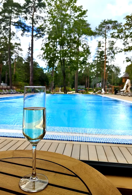 Квартира Уютная студия и теплый бассейн — аренда посуточно в Зеленогорск