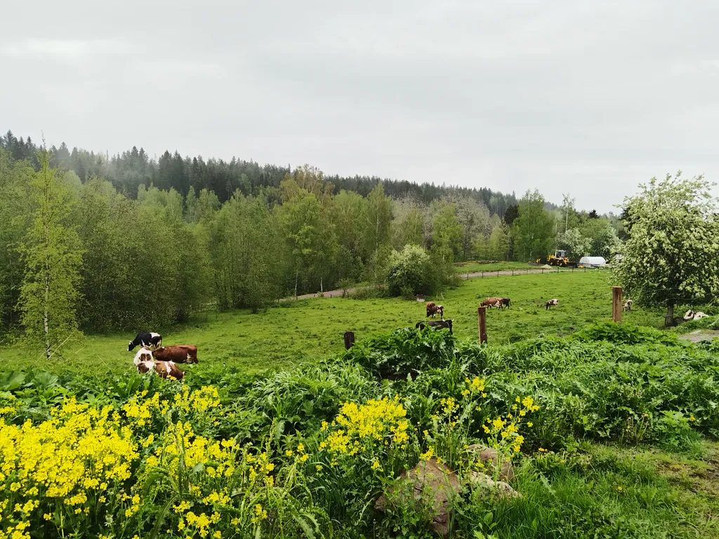 Агроусадьба Ивановых, старый хутор Тауно Туоми