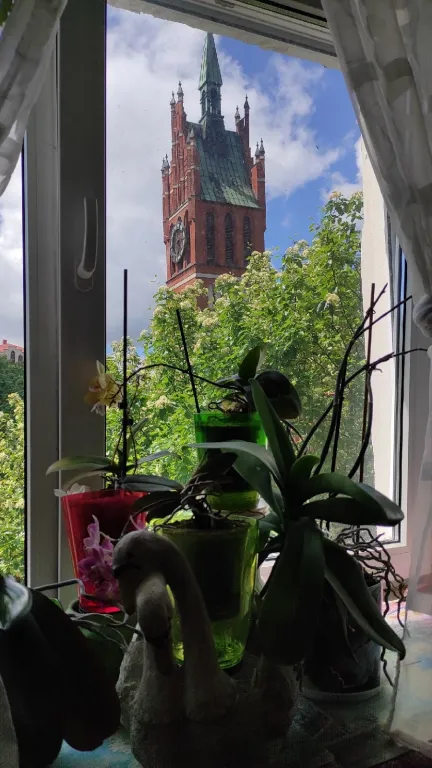 Квартира Уютная квартира с видом на Замок — Калининград