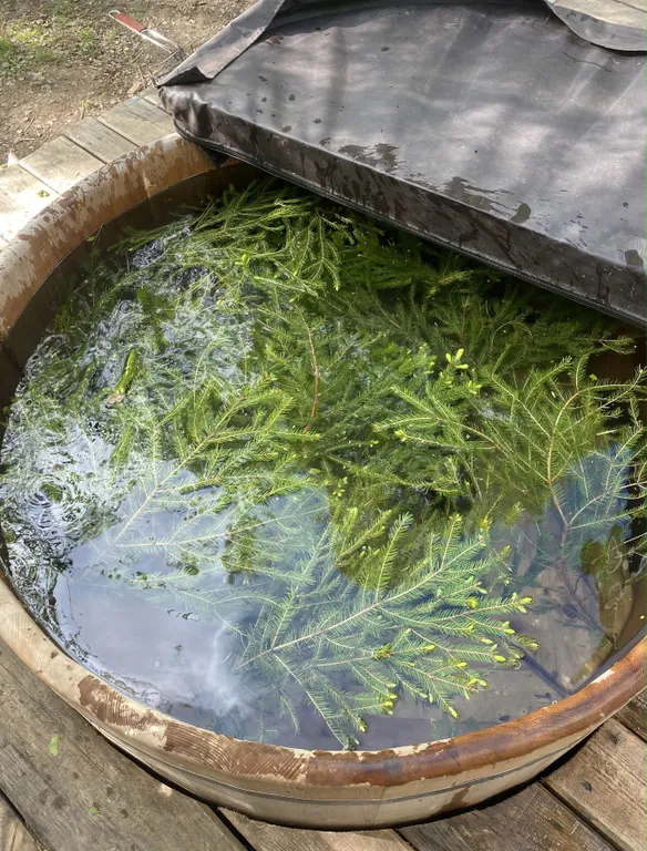 Домик в Поместье №1