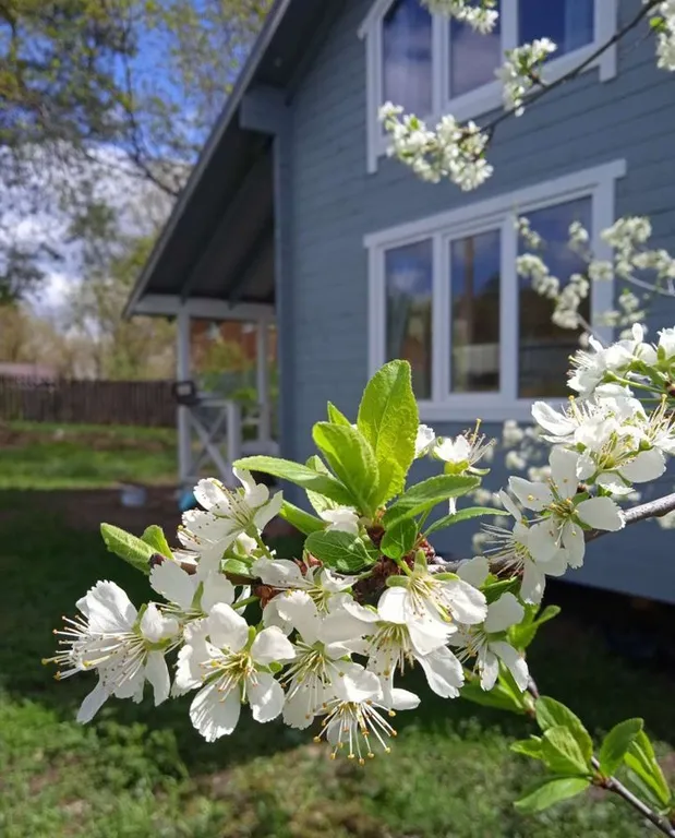 Голубой домик с баней