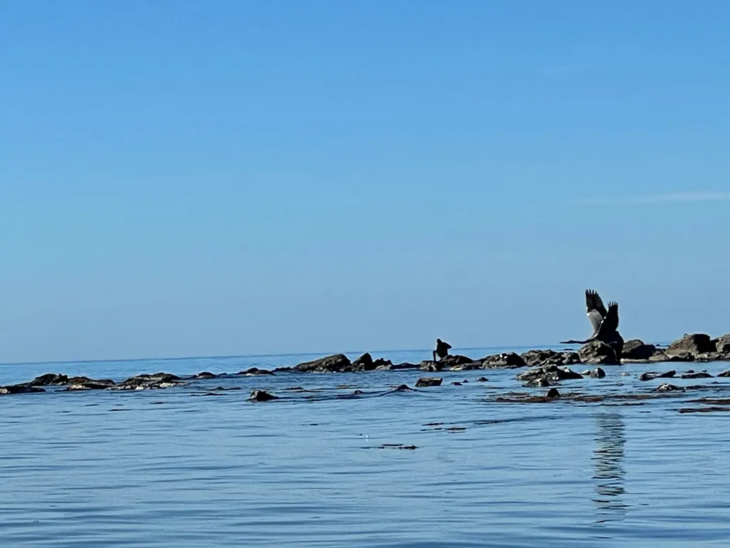 Квартира Апартаменты на первой береговой линии — Анапа