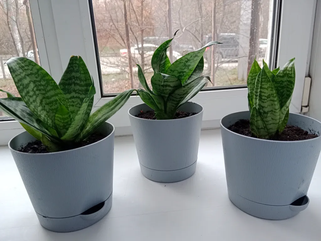 Квартира Уютные апартаменты в центре города — Екатеринбург