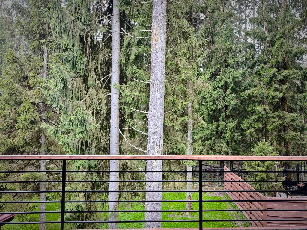 Лесной дом с тёплым бассейном, джакузи, сауной и сибирским чаном