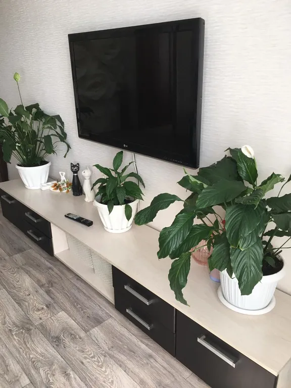 3-комнатная супер квартира